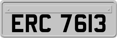 ERC7613