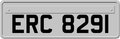 ERC8291