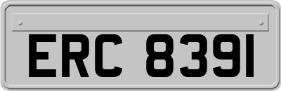 ERC8391