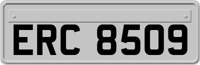 ERC8509