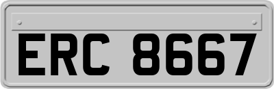 ERC8667