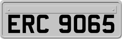 ERC9065