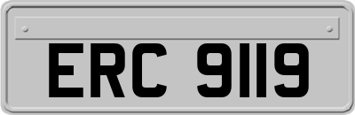 ERC9119