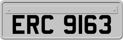 ERC9163