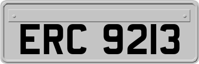 ERC9213