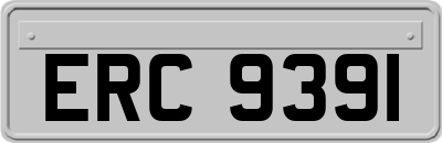 ERC9391