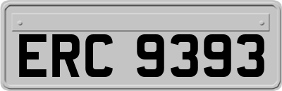 ERC9393