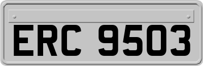 ERC9503
