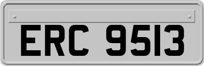 ERC9513