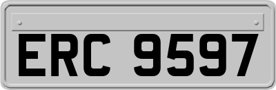 ERC9597