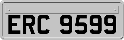 ERC9599
