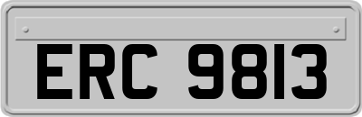 ERC9813