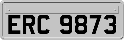 ERC9873