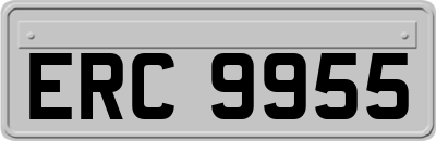 ERC9955