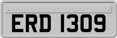 ERD1309