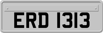 ERD1313