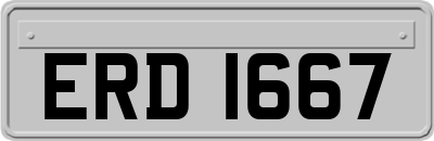 ERD1667