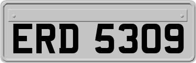 ERD5309