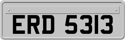 ERD5313