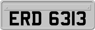 ERD6313