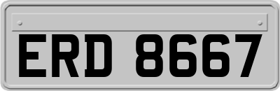 ERD8667