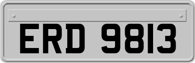 ERD9813