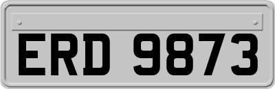 ERD9873