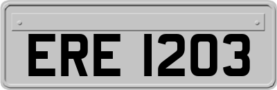 ERE1203