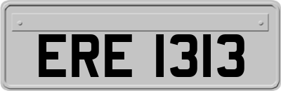 ERE1313