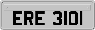 ERE3101