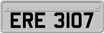 ERE3107