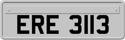 ERE3113