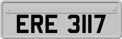 ERE3117