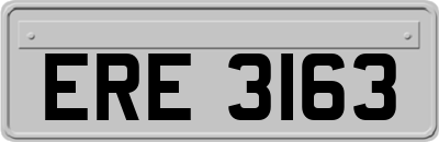 ERE3163