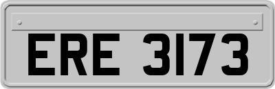 ERE3173