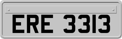 ERE3313