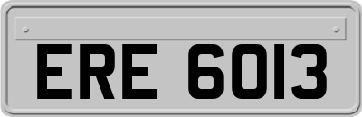 ERE6013