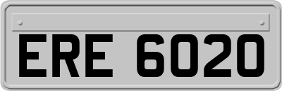 ERE6020