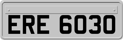 ERE6030