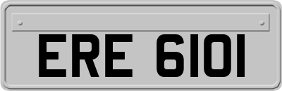 ERE6101