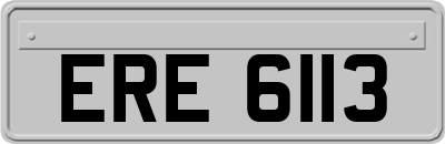 ERE6113