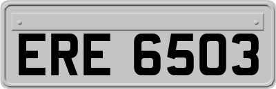 ERE6503