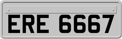 ERE6667
