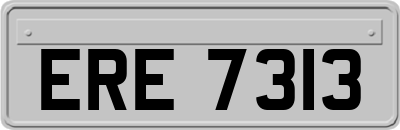 ERE7313