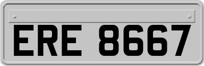 ERE8667