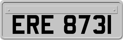 ERE8731
