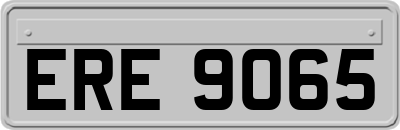 ERE9065