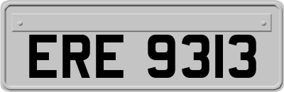 ERE9313