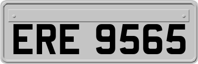 ERE9565