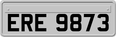 ERE9873